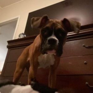 Meet your Posher, Jennifer